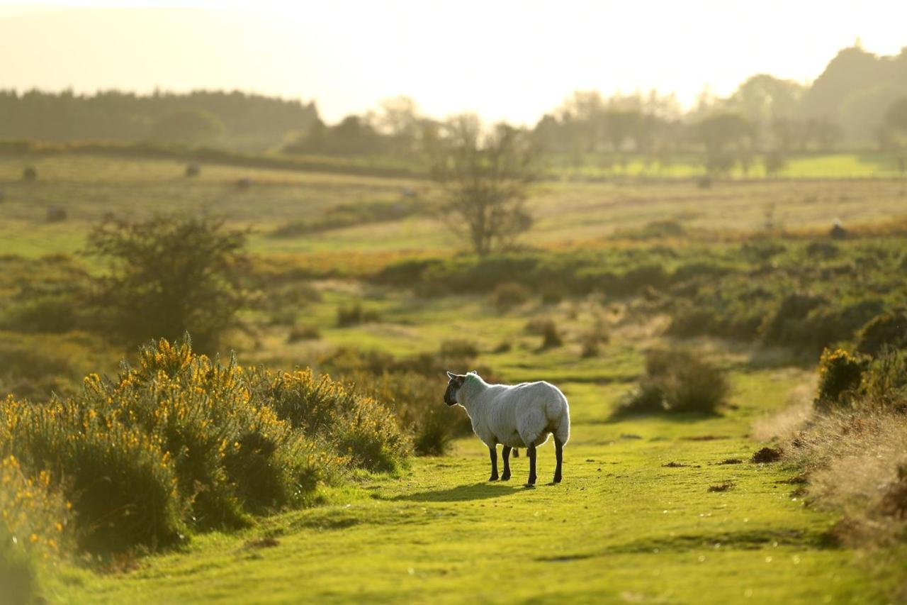 Captains Lookout Brecon Bagian luar foto